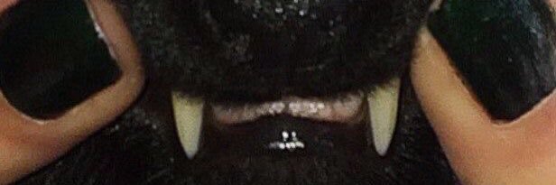 munixh_'s profile banner image