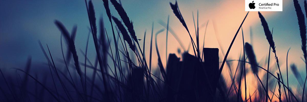 PremiereEditor's profile banner image