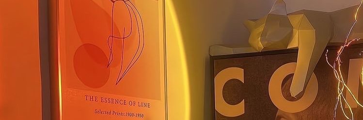 debheocha's profile banner image