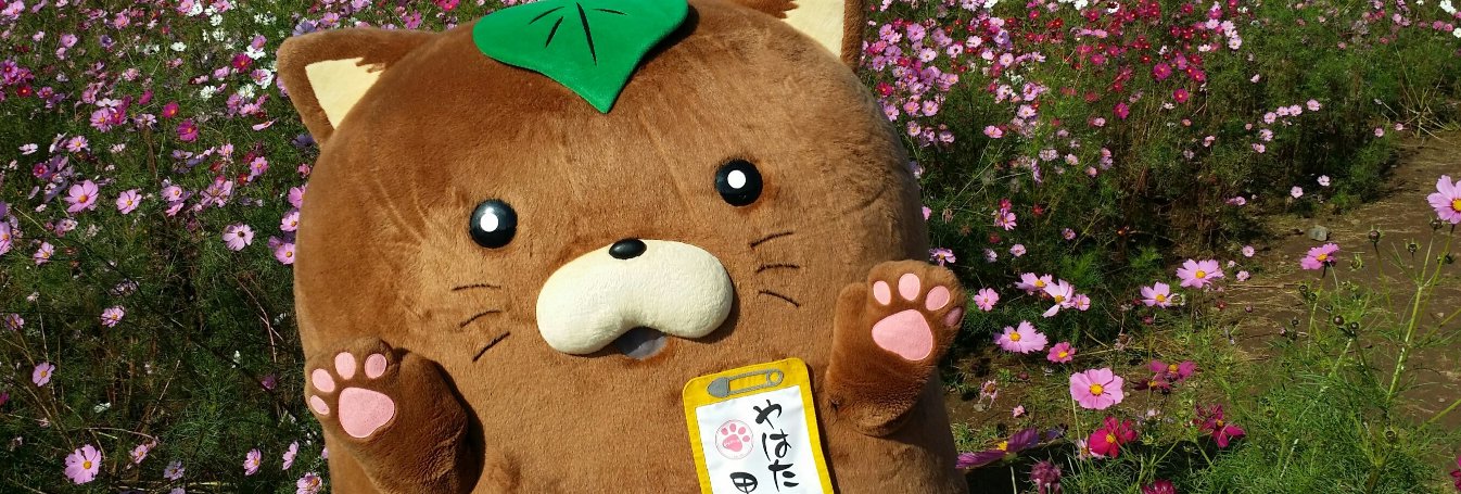 やはたいぬ banner