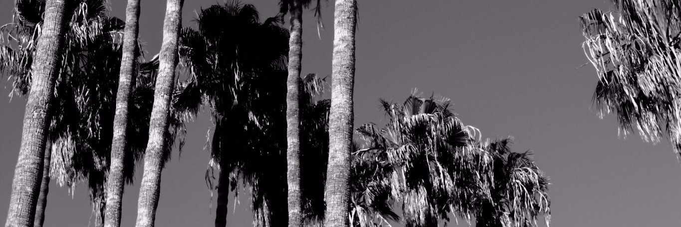 hoaxco's profile banner image
