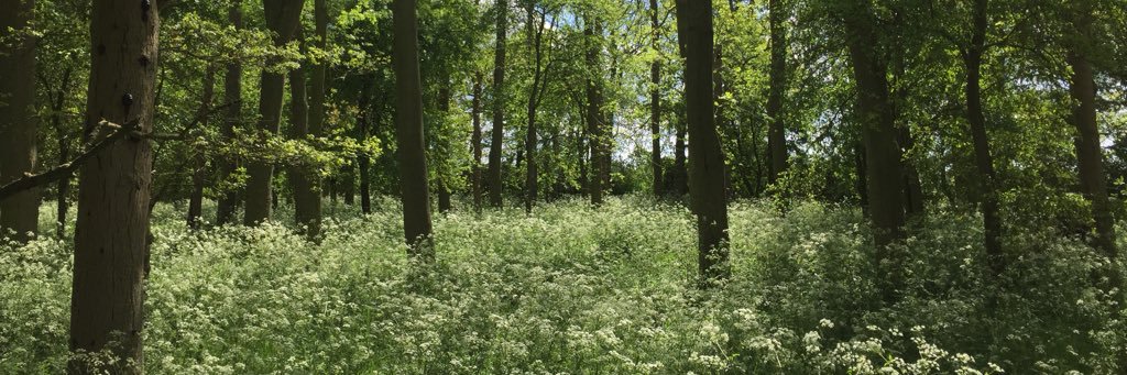 Oliver Bishop banner