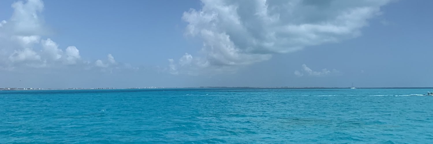 ElaVal1's profile banner image