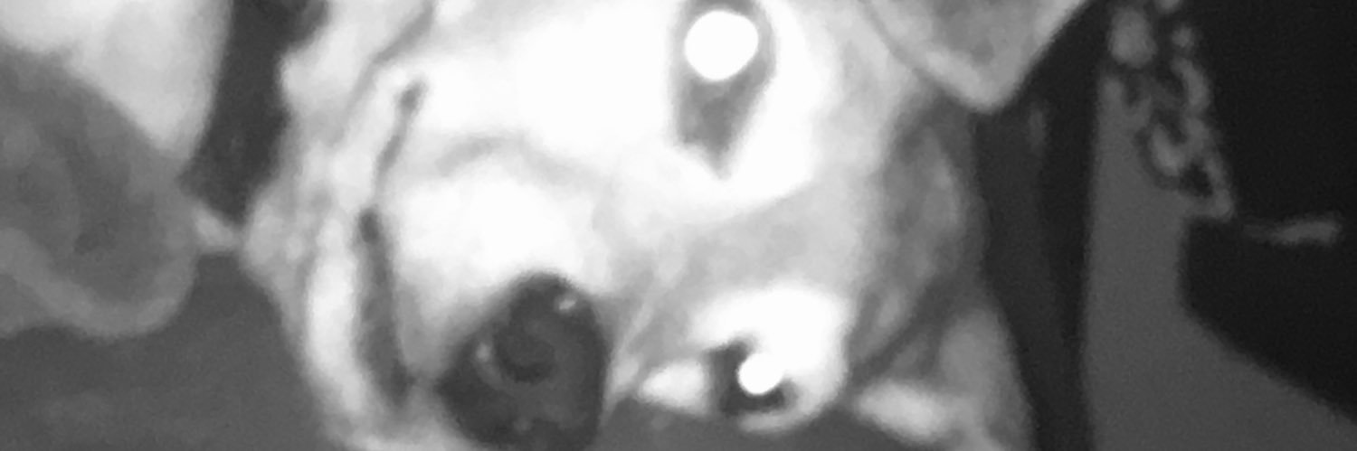 AimeeKopp's profile banner image