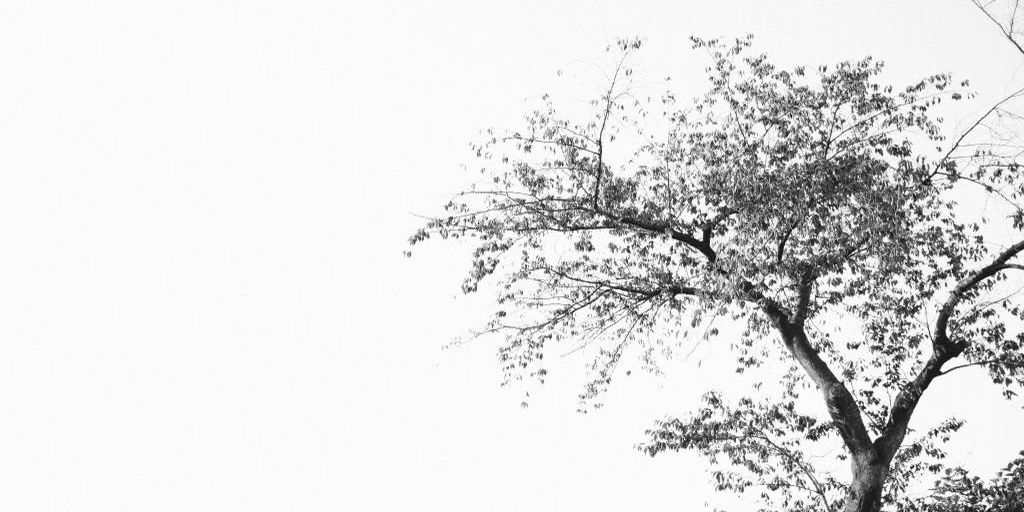kzk_ooo's profile banner image