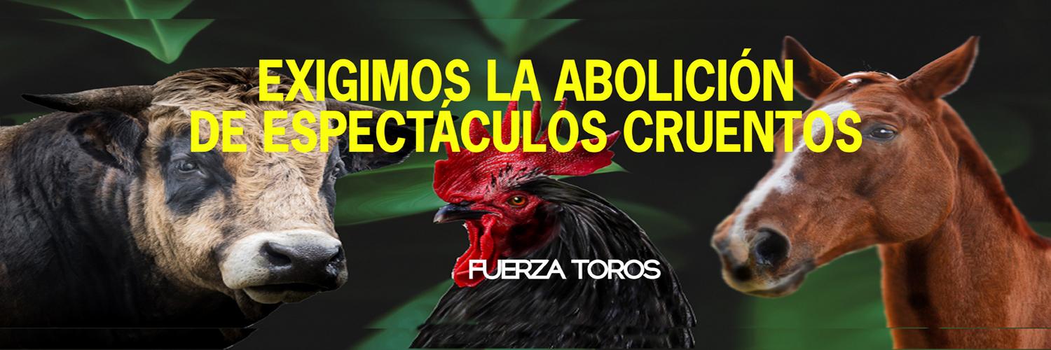 ALCE Perú🐸🐶🐱🐰🐯🐣🐮🐷🐳🐵🐢 banner