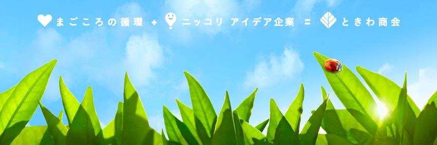 tokiwask's profile banner image