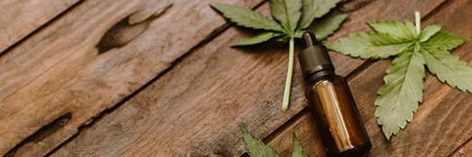 highroots_cbd's profile banner image