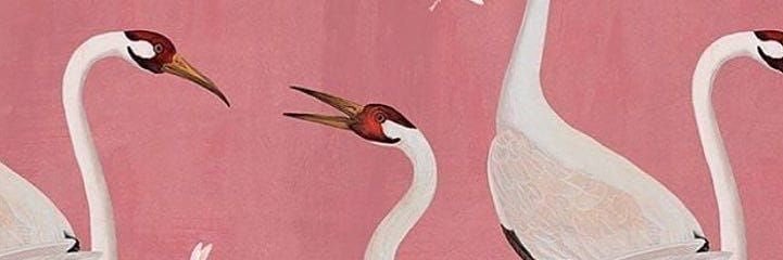 Nickcerioni's profile banner image
