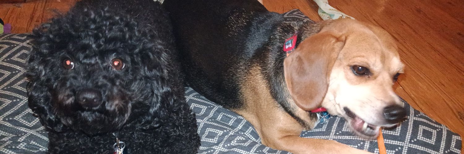 Darlene Smith banner