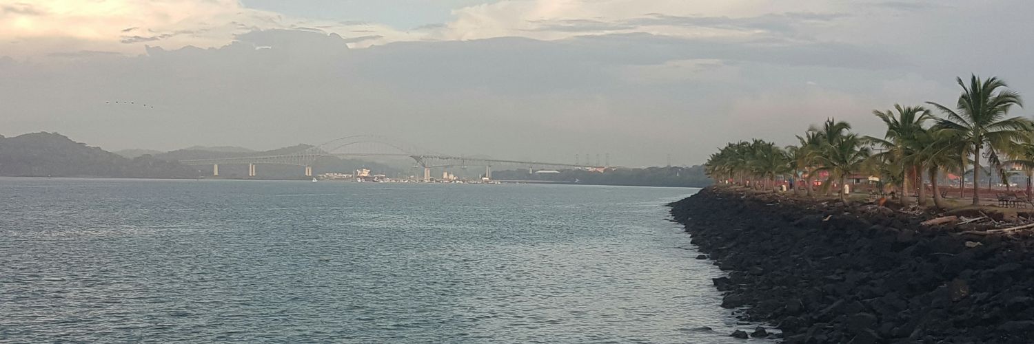 soyvielsag's profile banner image