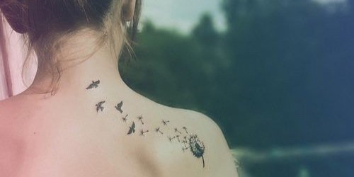 BgRegine's profile banner image