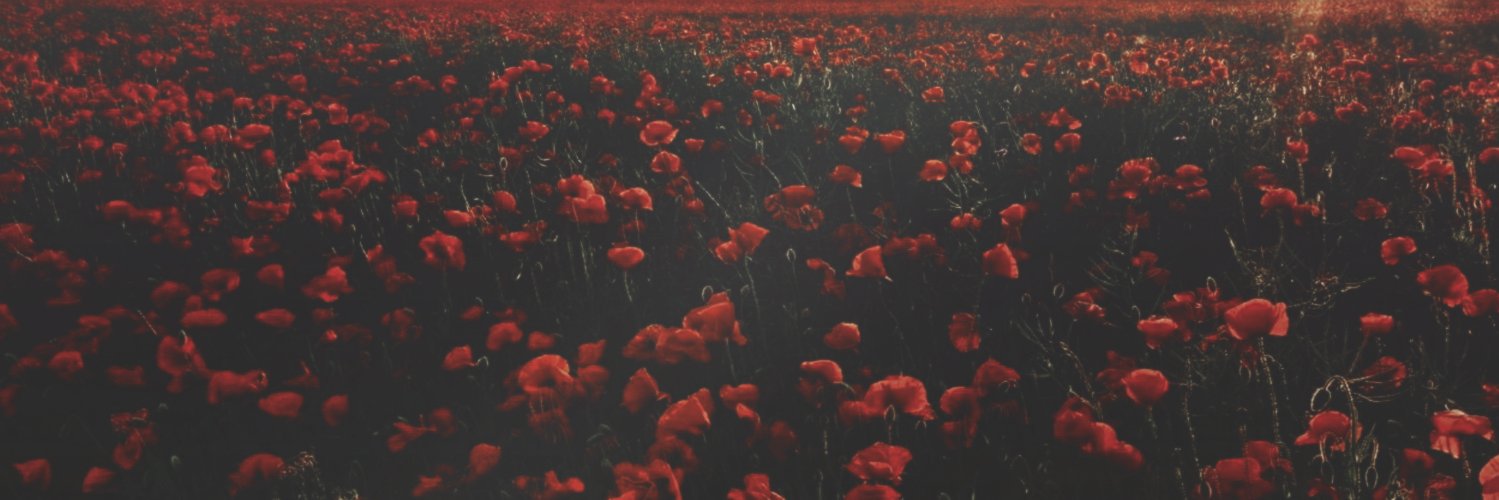 Barbara Hallywell. banner