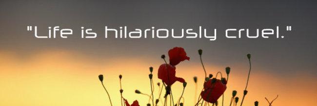 stitchgroover's profile banner image