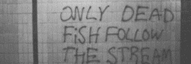 mvrkfischbvch's profile banner image