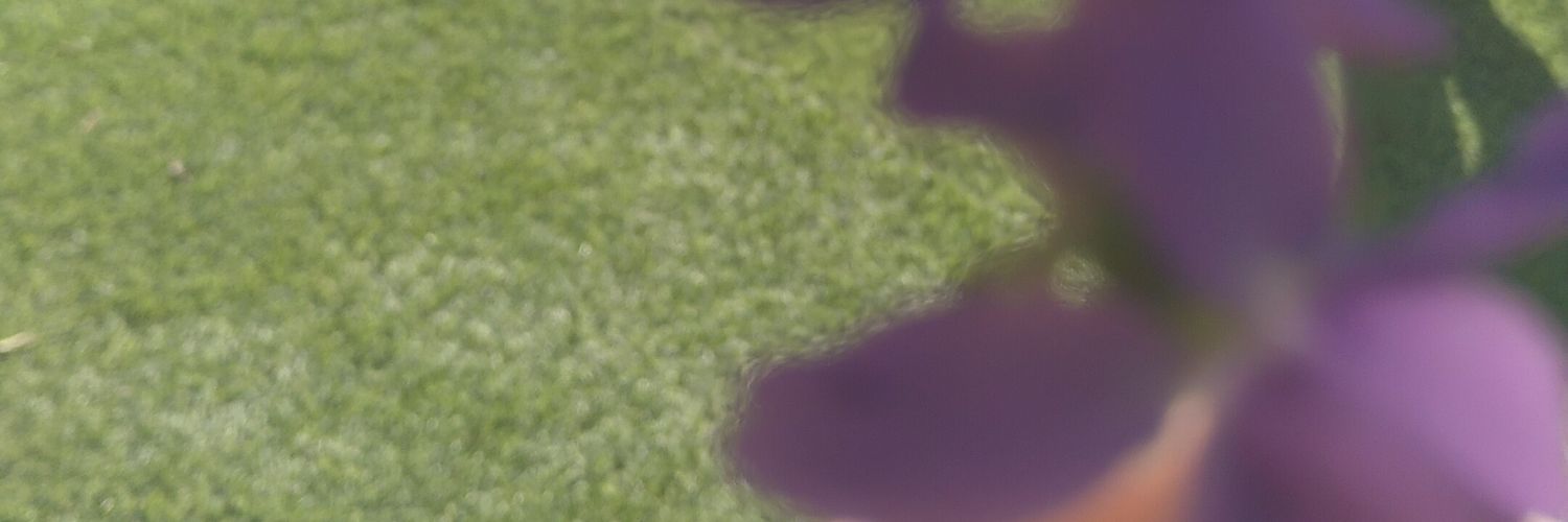 Lucia Calvo banner