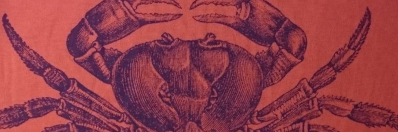 davidmarru's profile banner image
