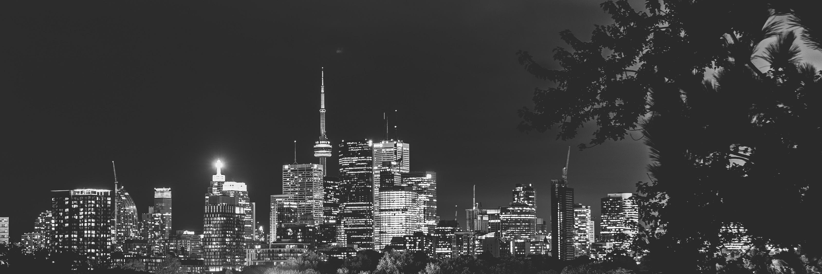 lionsunbird's profile banner image