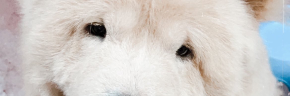 _melacueto's profile banner image
