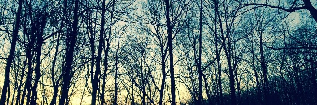 FLAGALineCRC's profile banner image