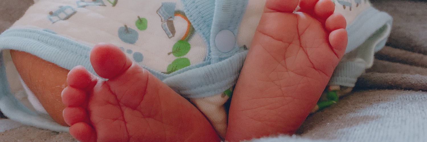 napiMtofu's profile banner image