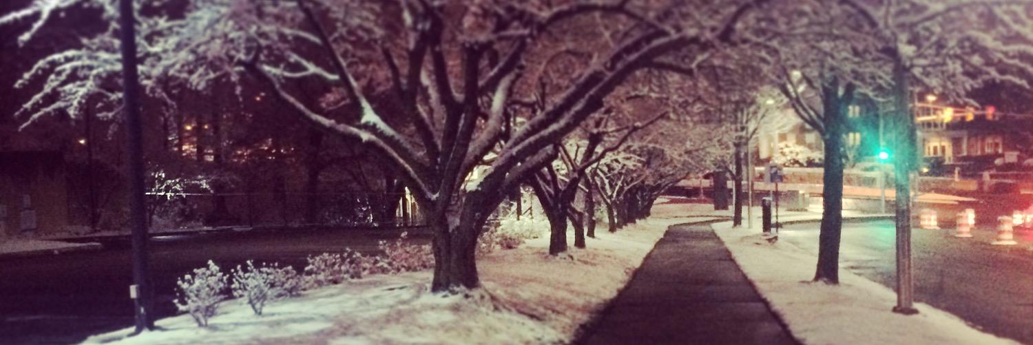 suse anderson banner