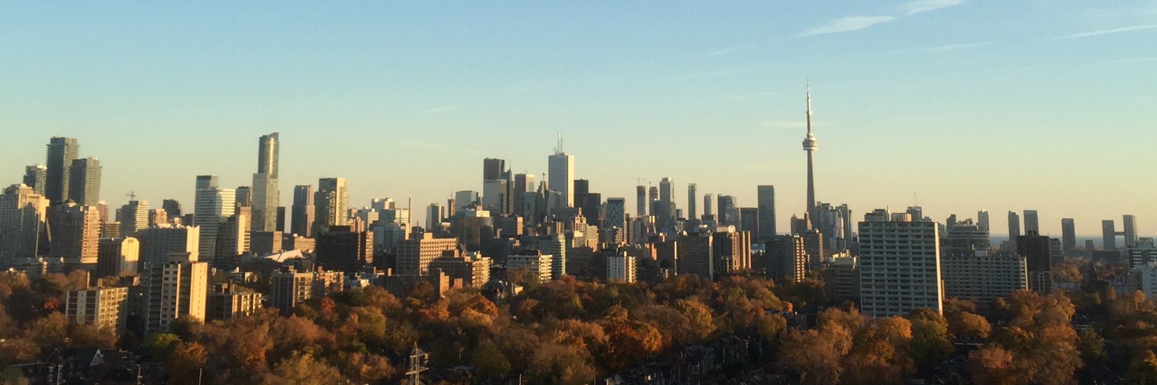 Kelly Gallagher-Mack banner