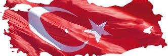 senol_akyol's profile banner image