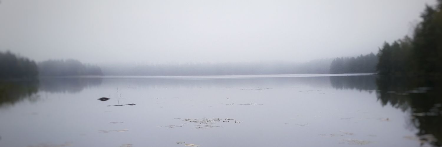 mermaidtyrone banner