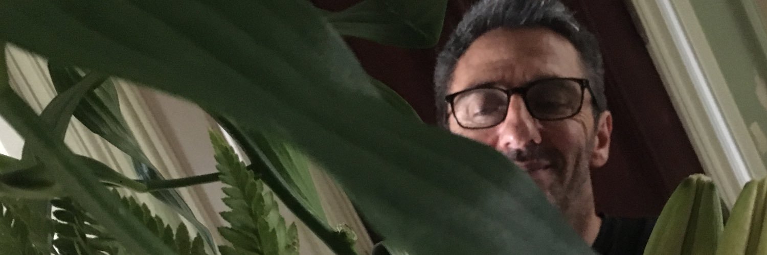 paulstepsgeo's profile banner image