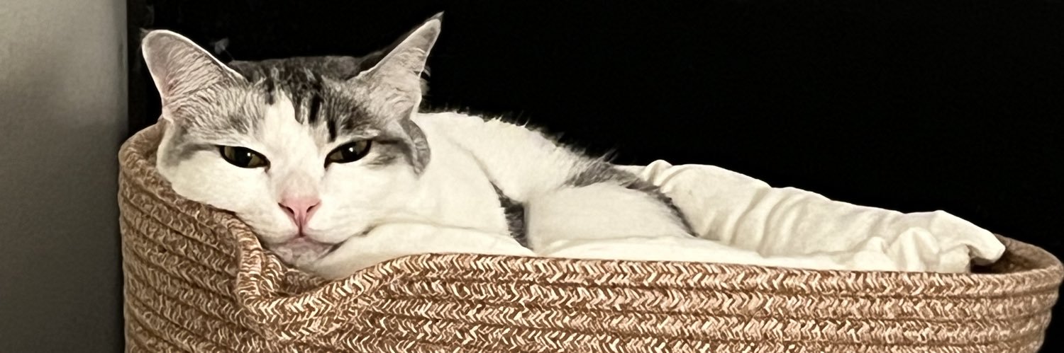 tyn_tuck's profile banner image
