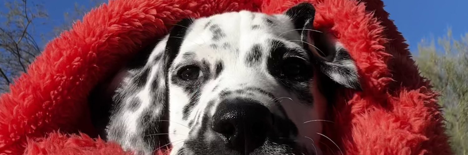 waaaSaby's profile banner image