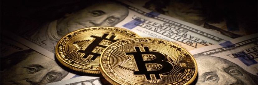 Notary of Crypto banner