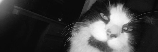 Rockmih Profile Banner