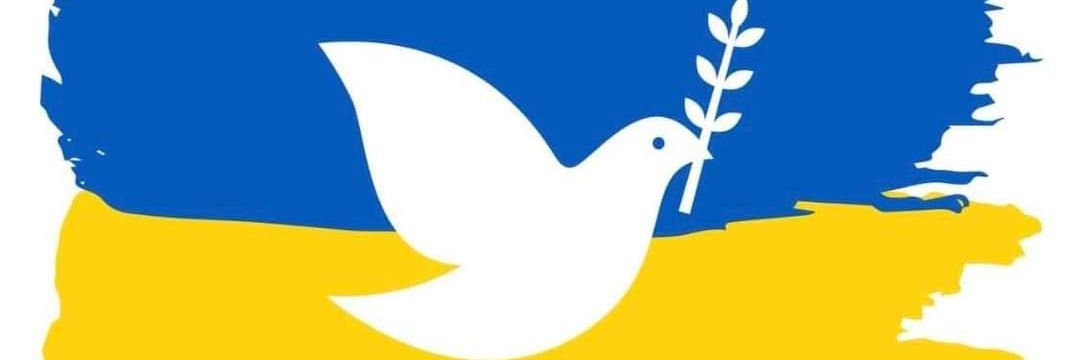 caipicat's profile banner image