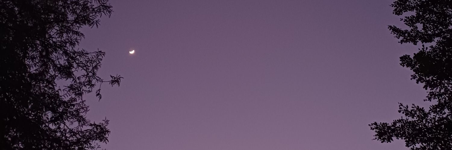 thisiswawa's profile banner image