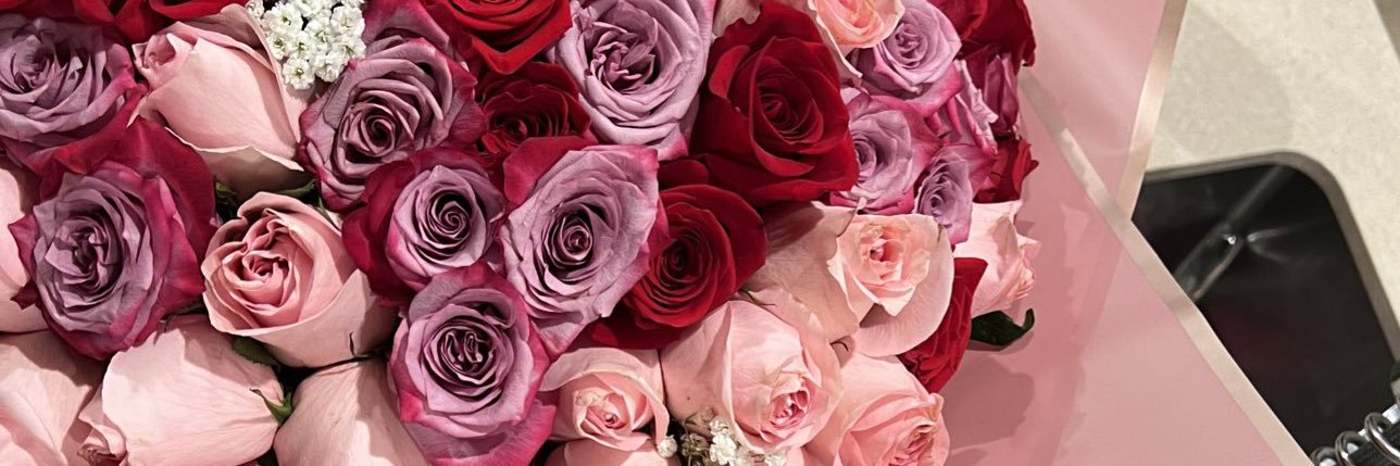Brincess___'s profile banner image