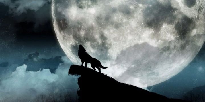 Shg_dak's profile banner image
