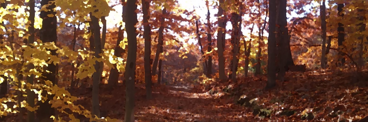 Nedsquatch's profile banner image
