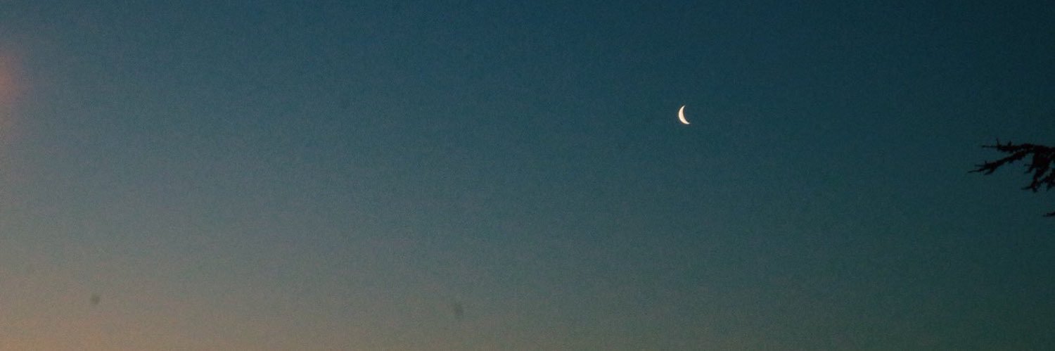 p0nsj_'s profile banner image