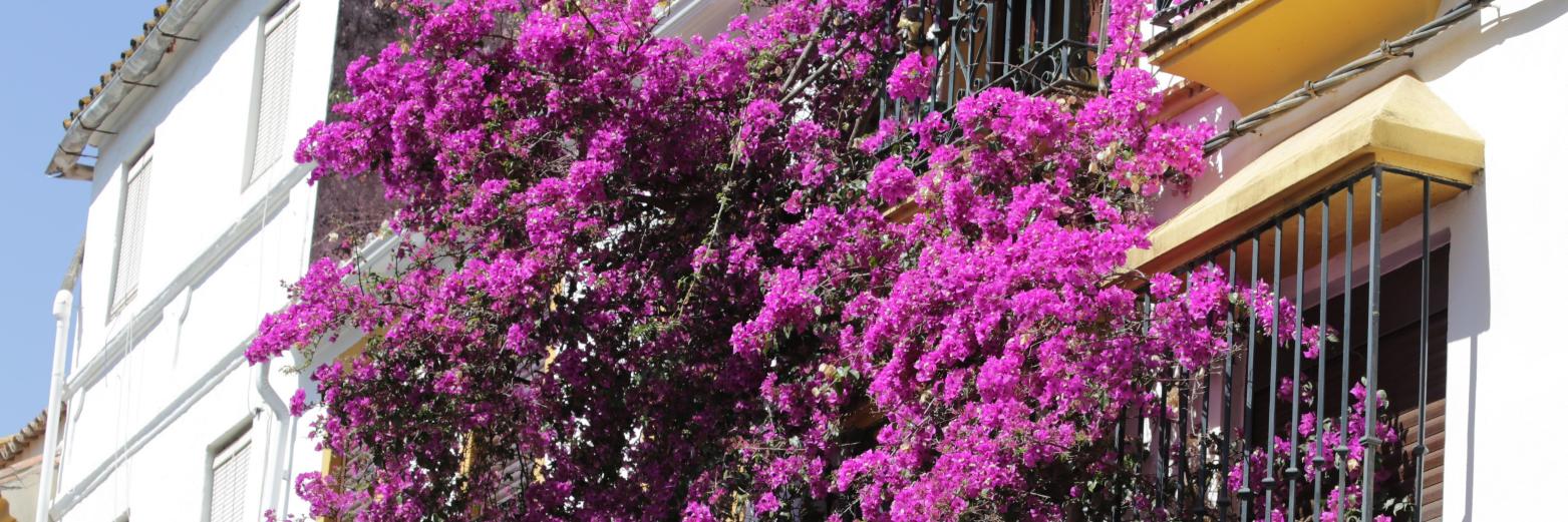 Derek James #Ukraine #Palestine 💙 banner