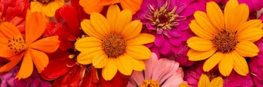 Carolini_123's profile banner image