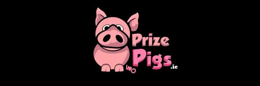 prizepigs's profile banner image