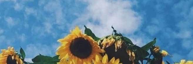 itsxraerae's profile banner image