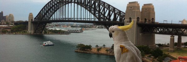 logicfrenzy Profile Banner