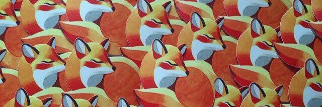 pakou banner