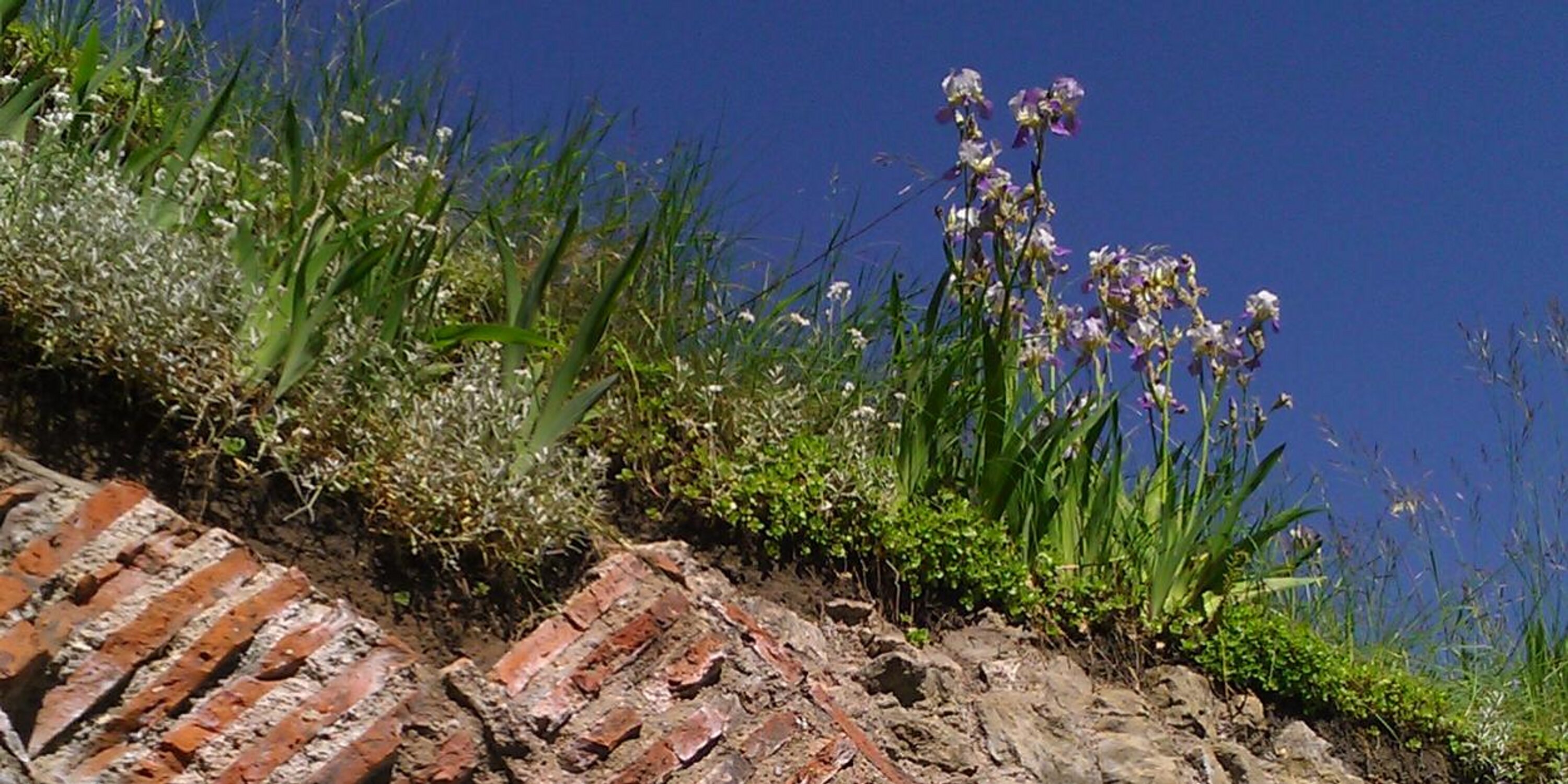 becksss14's profile banner image