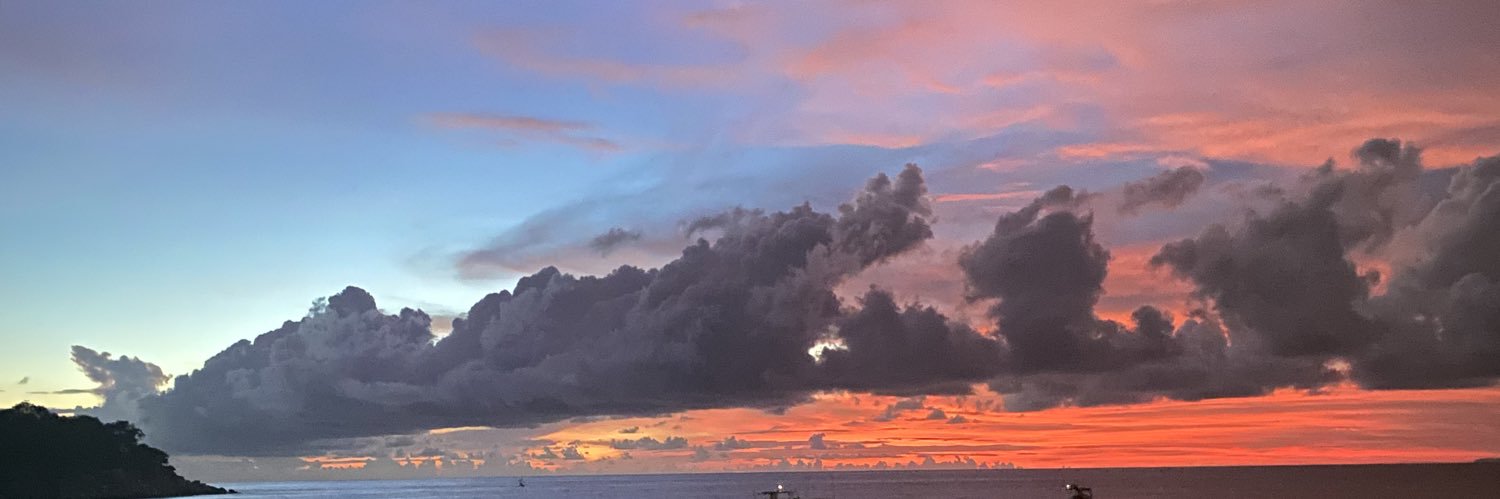 Nicoleedelman's profile banner image