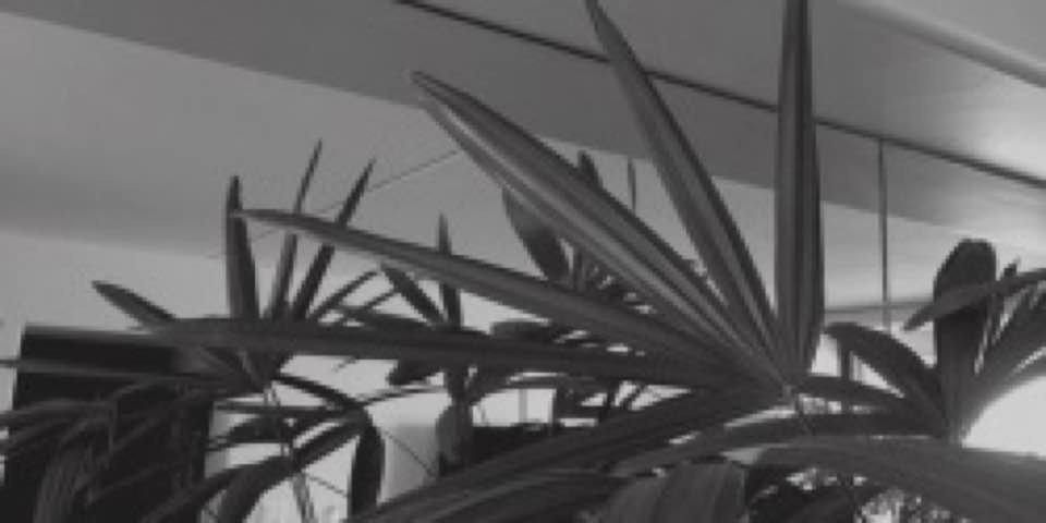 AshtonRPGTTS4_'s profile banner image