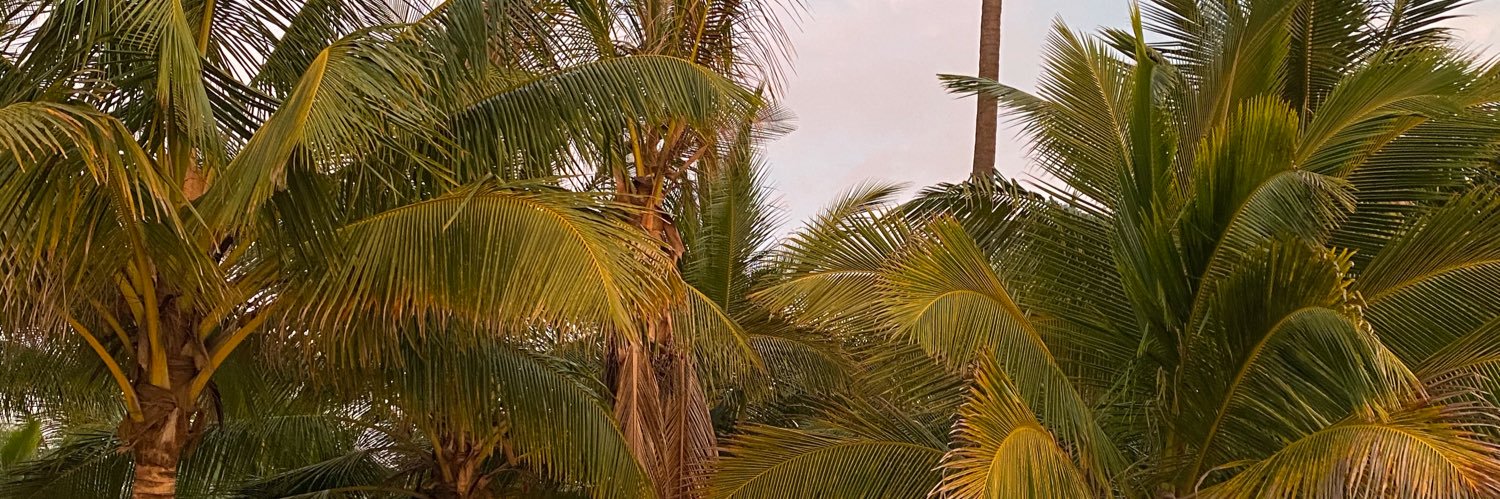 SameeraaaXo's profile banner image